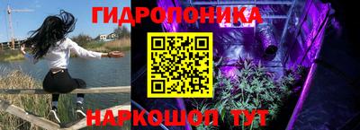 гидра Можга