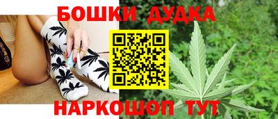 гидра Можга